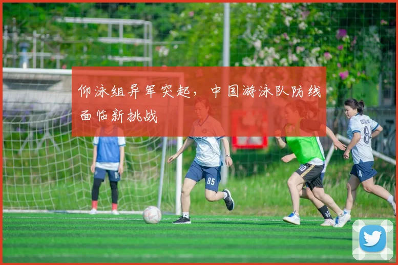 仰泳组异军突起，中国游泳队防线面临新挑战 - 2026世界杯推荐