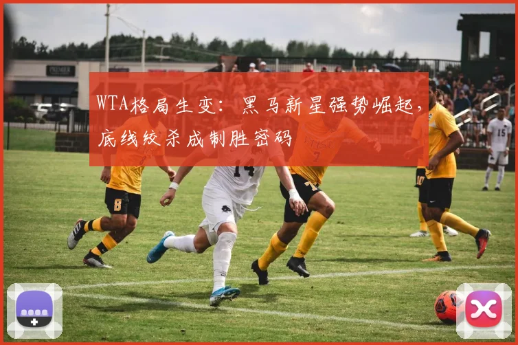 WTA格局生变：黑马新星强势崛起，底线绞杀成制胜密码 - 2026世界杯推荐