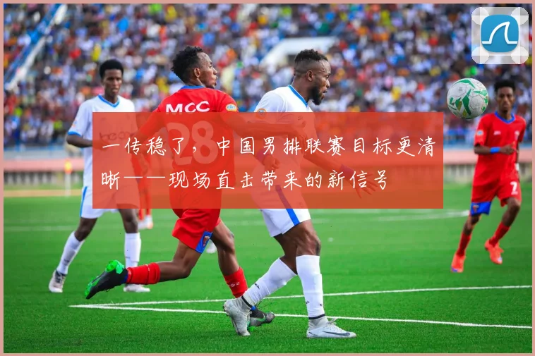 一传稳了，中国男排联赛目标更清晰——现场直击带来的新信号 - 2026世界杯推荐