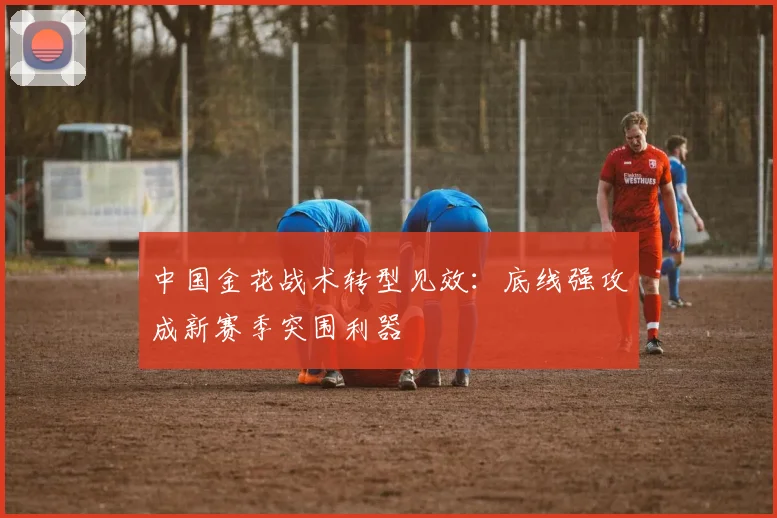 中国金花战术转型见效:底线强攻成新赛季突围利器 - 2026世界杯推荐